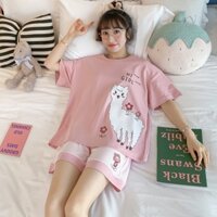 Bộ đồ mặc nhà nữ chất cotton, Bộ đồ tay cộc mặc mùa hè mềm mát BC08