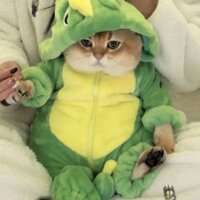 Bộ Đồ Ngủ Liền Thân Cao Qua Gối Hình Khủng Long Nhỏ Dễ Thương Có Khóa Kéo Cho Thú Cưng