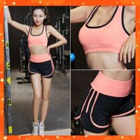 Bộ đồ thể thao tập Gym Yoga Aerobic, Quần áo tập Gym Yoga nữ áo bra quần đùi 2 lớp BT088