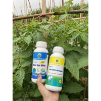 Bộ Đôi Đặc Trị Nấm Khuẩn Phổ Rộng, Thán Thư,Thối Nhũn, Thối Đọt, Lở Cổ Rễ, Phấn Trắng...chai 500ml