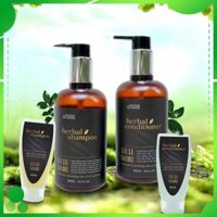 Herbal Hair Care: Nơi bán giá rẻ, uy tín, chất lượng nhất | Websosanh Herbal Hair Care: Nơi bán giá rẻ, uy tín, chất lượng nhất | Websosanh