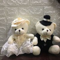 Bộ đôi gấu bông
