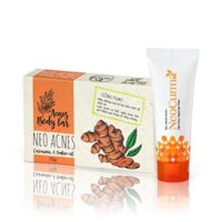 BỘ ĐÔI GIẢM MỤN MỜ THÂM LƯNG, BODY - XÀ PHÒNG NGHỆ 75G VÀ GEL NGHỆ NANO NEOCURMA 20G - NEO ACNES
