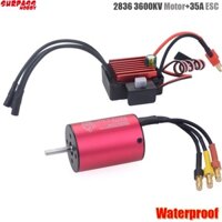 Bộ Động Cơ Không Chổi Than 2838 3600kv + Bộ Điều Khiển Tốc Độ Không Chổi Than 35a esc 2s 3s Cho Xe Hơi Điều Khiển Từ Xa 1 / 16