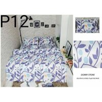 Bộ dra cotton poly+chăn hè trần bông