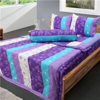 Bộ drap cotton Thắng Lợi 02