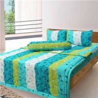 Bộ drap cotton Thắng Lợi 03