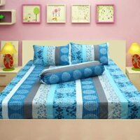 Bộ drap cotton Thắng Lợi 05