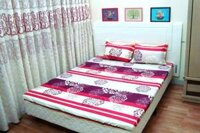 Bộ drap cotton Thắng Lợi 07