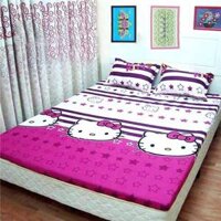 Bộ drap cotton Thắng Lợi 08