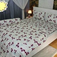 Bộ drap Cotton Thắng Lợi M6
