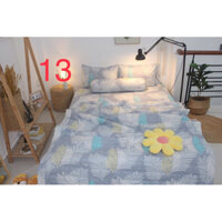 BỘ DRAP COTTON THẮNG LỢI M2x2M