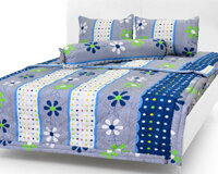Bộ Drap Cotton Thắng Lợi
