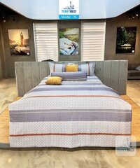 Bộ Drap Ga Trải Giường Modal - 76 - Chăn Ga Gối Nệm TONYBED