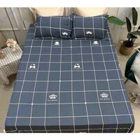 Bộ drap giường 1.6m và 1.8m MHome tặng kèm 2 vỏ gối màu giao ngẫu nhiên giá sỉ