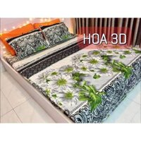 Bộ drap giường cotton poly (chọn mẫu)