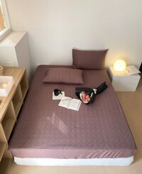 Bộ Drap Giường Quilting Chần Thêu Gấu Mỏng Nâu Đất Cho Bé