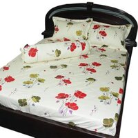 BỘ DRAP GỐI 4 MÓN THẮNG LỢI 1.8 x 2m