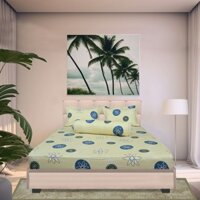 Bộ Drap Gối Cotton Hoa Thắng Lợi Mẫu 40 - Chính hãng