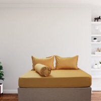 Bộ Drap Gối Cotton Màu – 01