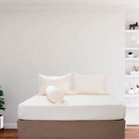 Bộ Drap Gối Cotton Màu – 02