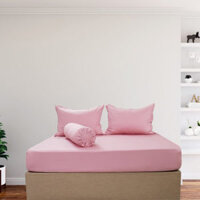 Bộ Drap Gối Cotton Màu – 03