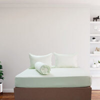 Bộ Drap Gối Cotton Màu – 04