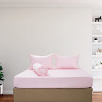 Bộ Drap Gối Cotton Màu – 06