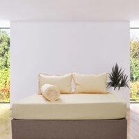 Bộ Drap Gối Cotton Màu – 08