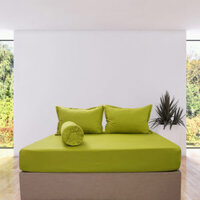 Bộ Drap Gối Cotton Màu – 09