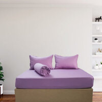 Bộ Drap Gối Cotton Màu – 11