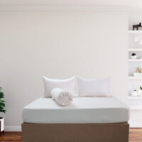 Bộ Drap Gối Cotton Màu – 12