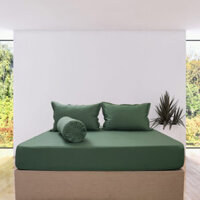 Bộ Drap Gối Cotton Màu – 15