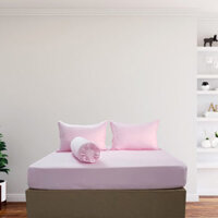 Bộ Drap Gối Cotton Màu – 16