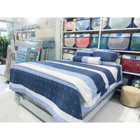 BỘ DRAP PHỦ COTTON CAO CẤP