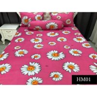 Bộ drap thun hoa cúc họa mi nhiều màu 1 ga 3 vỏ gối