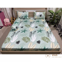 Bộ Drap Thun Lạnh Ý 5D