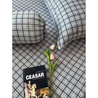 Bộ Drap trải giường thun lạnh hàn quốc 5 món có mền ( gồm 1 mền trần bông + 1 drap + 2 vỏ áo gối nằm + 1 vỏ ôm)