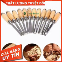 Bộ Đục Điêu Khắc Gỗ Lũa Cây Cảnh Bonsai Bằng Tay 12 Chi Tiết Lưỡi Thép Hợp Kim SK2 Cao Cấp