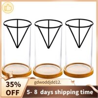 Bộ dụng cụ trồng cây bơ cao cấp 3 gói, Bình hạt bơ thủy tinh có giá đỡ tam giác và đế tre, Chậu cây nảy mầm