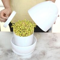 Bộ dụng cụ trồng thùng nảy mầm đậu xanh cho hộp đựng nảy mầm