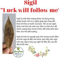 Bó dùng thử Xô Thơm Trắng Thanh Tẩy  White Sage - 1 sigil lucky