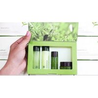 Bộ dưỡng da Innisfree Green Tea Balancing Special Kit Ex