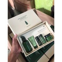 Bộ Dưỡng Da Trà Xanh Innisfree Green Tea Seed Serum Special Set