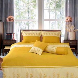 Bộ Everon ESM20012