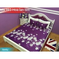 Bộ ga 1m6x2mx20cm kèm 2 vỏ gối 45x65cm