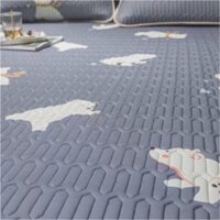 Bộ ga, 2 vỏ gối điều hoà hàng loại 1, Kích thước 1m5