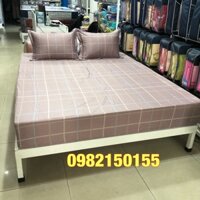 Bộ ga chun 180x200 cotton không chần Sông Hồng
