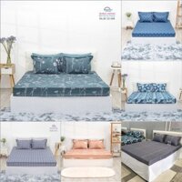 Bộ ga chun chần 180x200 Sông Hồng chất cotton - BC22 050