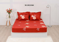 Bộ ga chun chần 180x200 Sông Hồng chất cotton - BC22 064